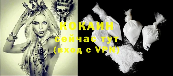 гашик Кинешма