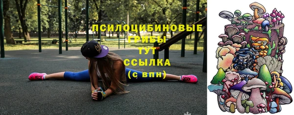 гашик Кинешма