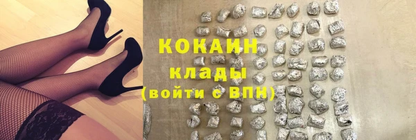 гашик Кинешма
